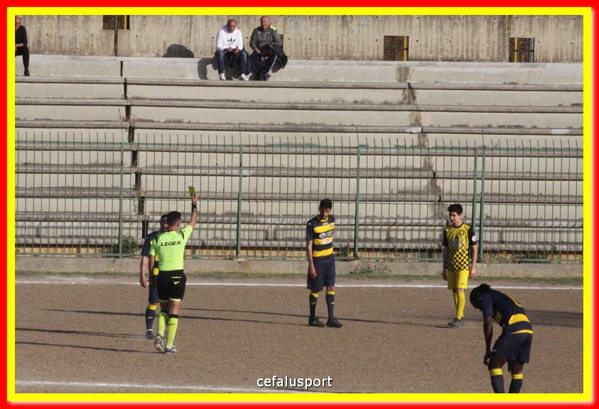 200301 Cepha_Mazara 110.jpg